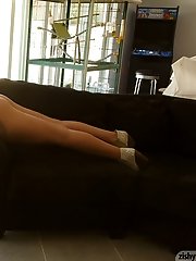 9 pictures - Harley Woodburn Pet Detective